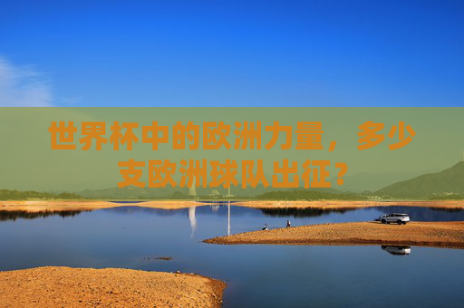 世界杯中的欧洲力量，多少支欧洲球队出征？