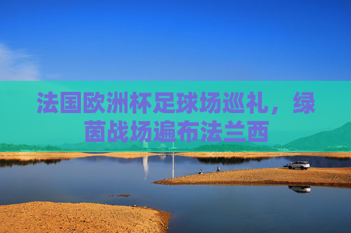 法国欧洲杯足球场巡礼，绿茵战场遍布法兰西