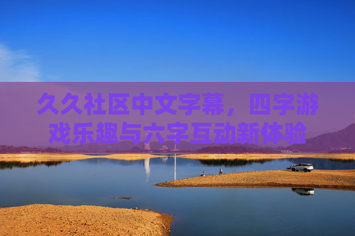 久久社区中文字幕，四字游戏乐趣与六字互动新体验