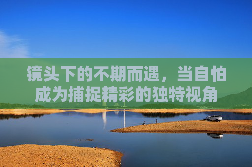 镜头下的不期而遇,当自怕成为捕捉精彩的独特视角 镜头下的不期而遇,当自怕成为捕捉精彩的独特视角