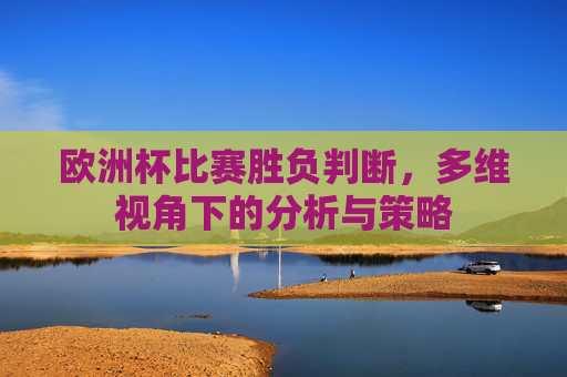 欧洲杯比赛胜负判断，多维视角下的分析与策略