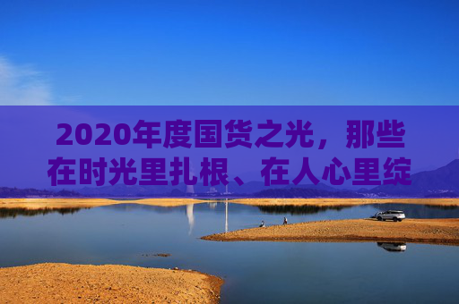 2020年度国货之光,那些在时光里扎根、在人心里绽放的本土佳作 2020年度国货之光,那些在时光里扎根、在人心里绽放的本土佳作