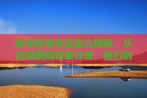 欧洲杯球员奖金大揭秘,从出场费到冠军分成,他们到底能赚多少? 欧洲杯球员奖金大揭秘,从出场费到冠军分成,他们到底能赚多少?