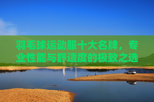 羽毛球运动服十大名牌,专业性能与舒适度的极致之选 羽毛球运动服十大名牌,专业性能与舒适度的极致之选