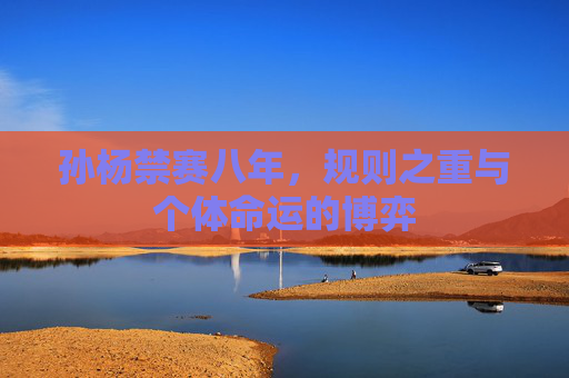 孙杨禁赛八年,规则之重与个体命运的博弈 孙杨禁赛八年,规则之重与个体命运的博弈
