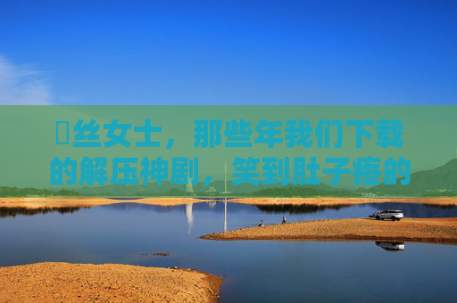 屌丝女士，那些年我们下载的解压神剧，笑到肚子疼的日常暴击！