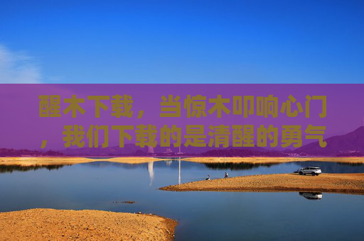 醒木下载，当惊木叩响心门，我们下载的是清醒的勇气