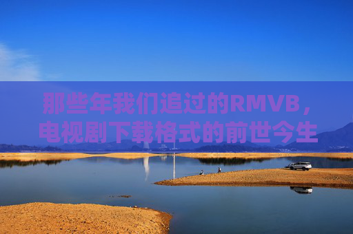 那些年我们追过的RMVB，电视剧下载格式的前世今生与选择