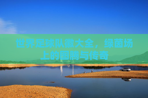 世界足球队徽大全，绿茵场上的图腾与传奇