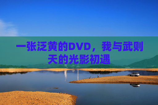 一张泛黄的DVD，我与武则天的光影初遇