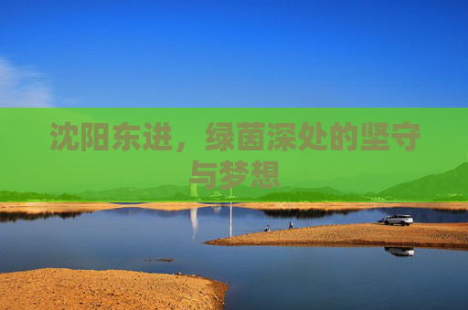 沈阳东进，绿茵深处的坚守与梦想