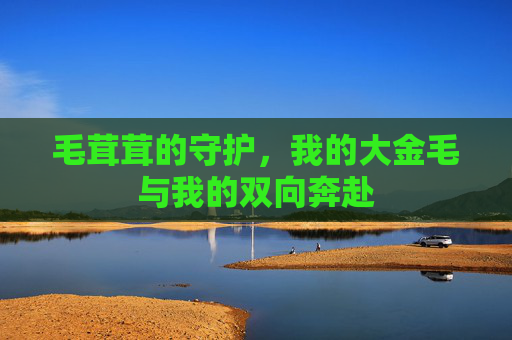 毛茸茸的守护，我的大金毛与我的双向奔赴