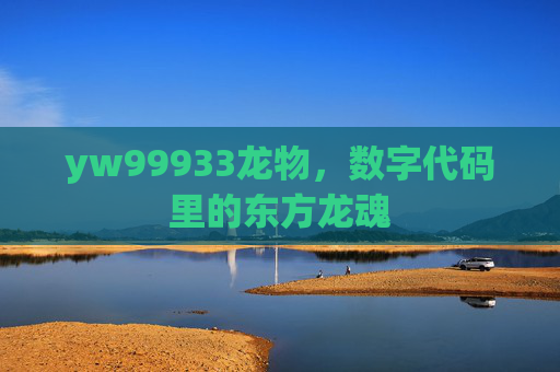 yw99933龙物，数字代码里的东方龙魂