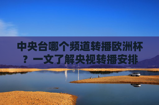 中央台哪个频道转播欧洲杯？一文了解央视转播安排