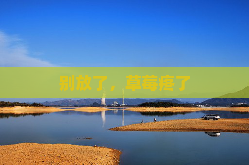 别放了，草莓疼了