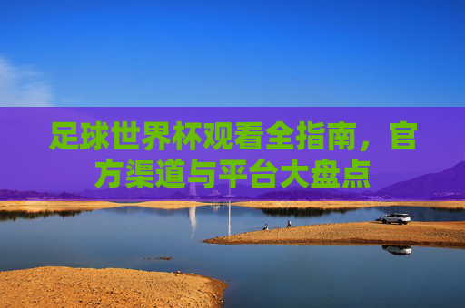 足球世界杯观看全指南，官方渠道与平台大盘点