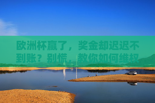 欧洲杯赢了，奖金却迟迟不到账？别慌，教你如何维权拿回赔付！