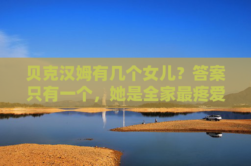 贝克汉姆有几个女儿？答案只有一个，她是全家最疼爱的小公主