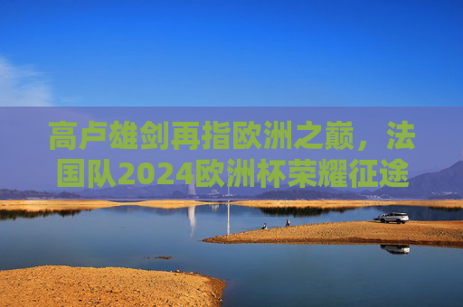 高卢雄剑再指欧洲之巅，法国队2024欧洲杯荣耀征途