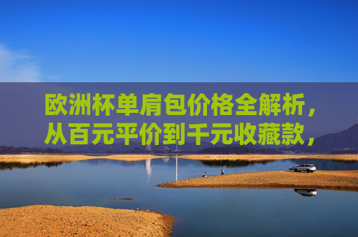 欧洲杯单肩包价格全解析，从百元平价到千元收藏款，哪款值得入手？