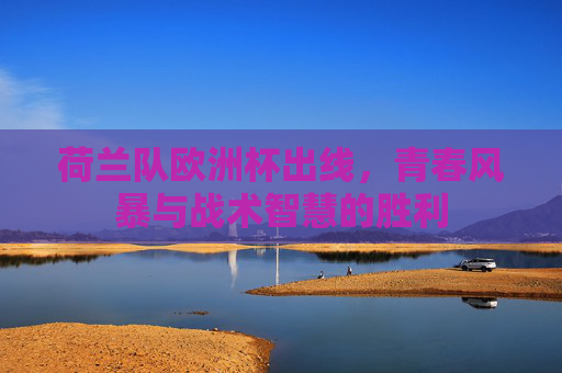 荷兰队欧洲杯出线，青春风暴与战术智慧的胜利