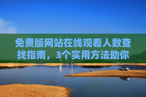 免费版网站在线观看人数查找指南，3个实用方法助你实时掌握