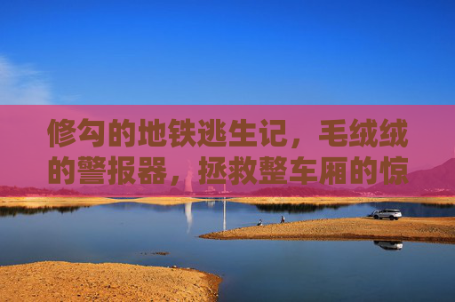 修勾的地铁逃生记，毛绒绒的警报器，拯救整车厢的惊魂半小时
