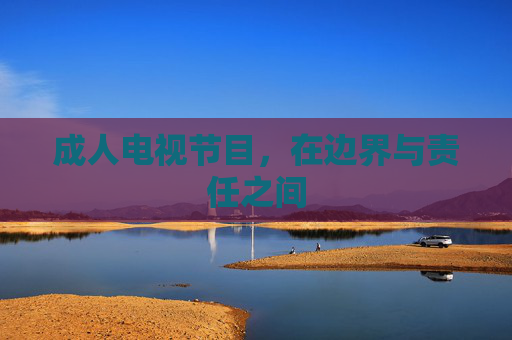 成人电视节目，在边界与责任之间