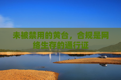 未被禁用的黄台，合规是网络生存的通行证
