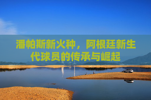 潘帕斯新火种，阿根廷新生代球员的传承与崛起
