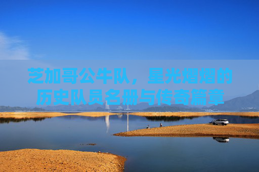 芝加哥公牛队，星光熠熠的历史队员名册与传奇篇章