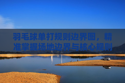 羽毛球单打规则边界图，精准掌握场地边界与核心规则