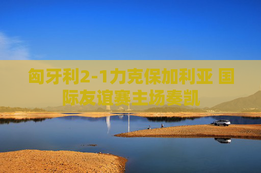 匈牙利2-1力克保加利亚 国际友谊赛主场奏凯
