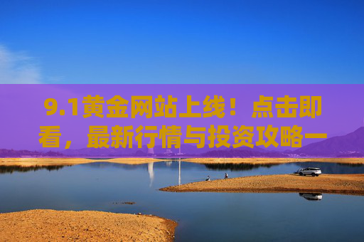 9.1黄金网站上线！点击即看，最新行情与投资攻略一手掌握