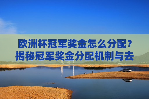 欧洲杯冠军奖金怎么分配？揭秘冠军奖金分配机制与去向