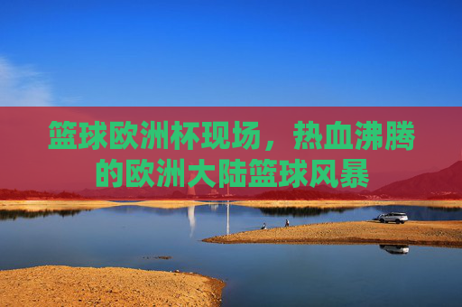 篮球欧洲杯现场，热血沸腾的欧洲大陆篮球风暴