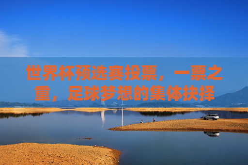 世界杯预选赛投票，一票之重，足球梦想的集体抉择