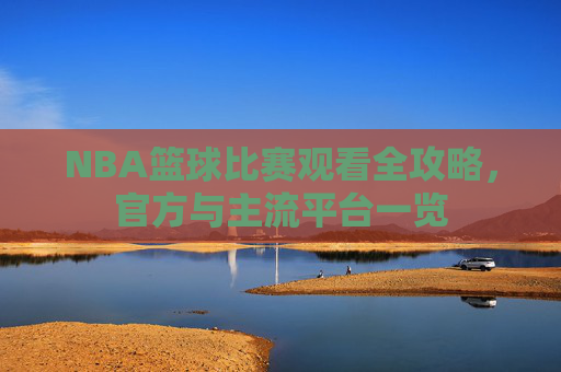 NBA篮球比赛观看全攻略，官方与主流平台一览