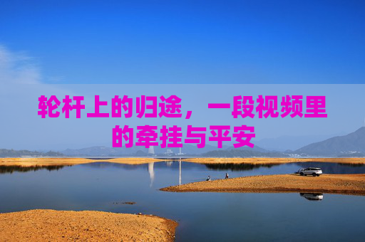 轮杆上的归途，一段视频里的牵挂与平安