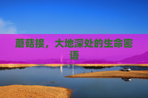 蘑菇接，大地深处的生命密语