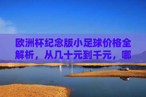 欧洲杯纪念版小足球价格全解析，从几十元到千元，哪款值得入手？