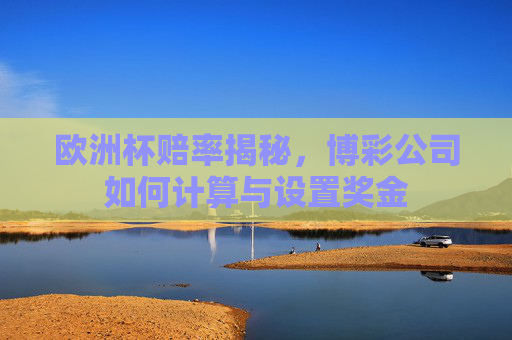 欧洲杯赔率揭秘，博彩公司如何计算与设置奖金