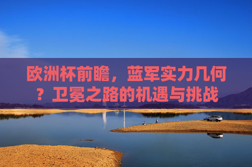 欧洲杯前瞻，蓝军实力几何？卫冕之路的机遇与挑战