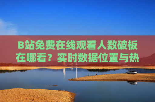 B站免费在线观看人数破板在哪看？实时数据位置与热度解读
