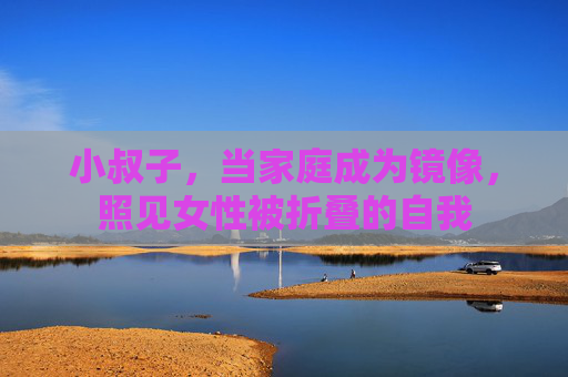 小叔子，当家庭成为镜像，照见女性被折叠的自我