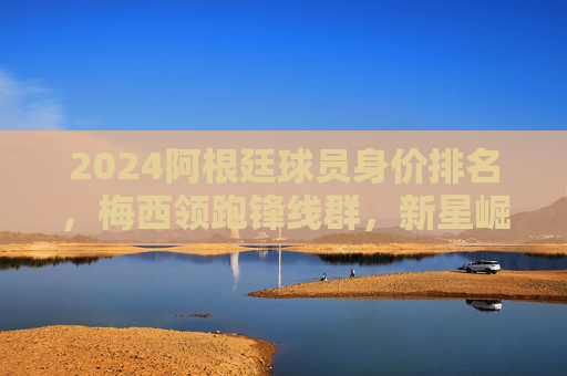 2024阿根廷球员身价排名，梅西领跑锋线群，新星崛起重塑格局