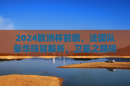2024欧洲杯前瞻，法国队豪华阵容解析，卫冕之路挑战与机遇并存