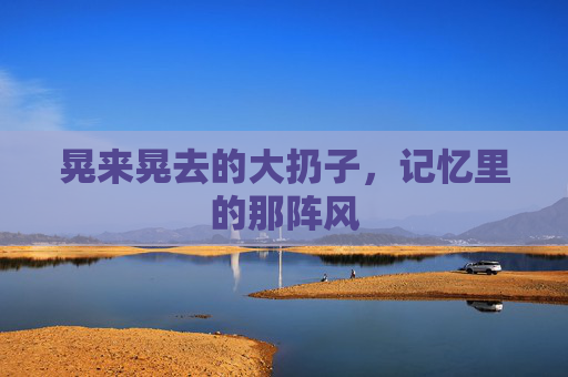 晃来晃去的大扔子，记忆里的那阵风