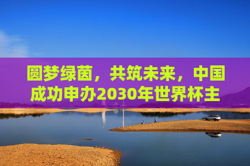 圆梦绿茵，共筑未来，中国成功申办2030年世界杯主办权