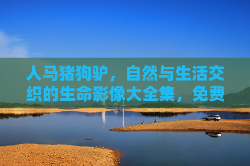 人马猪狗驴，自然与生活交织的生命影像大全集，免费探索动物世界的多元之美